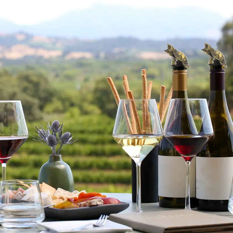 Wholesale Metal Turtle Wine Pourer